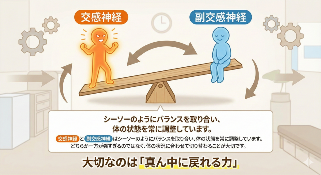 交感神経のバランス